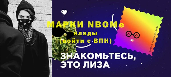 прущий лед Пересвет