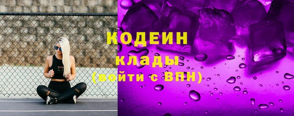 прущий лед Пересвет