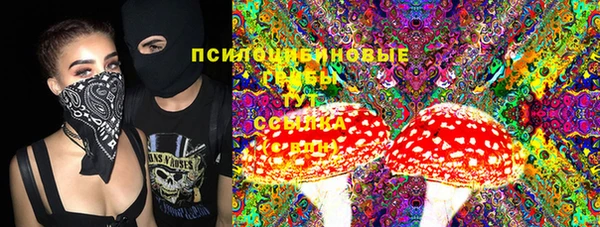 прущий лед Пересвет