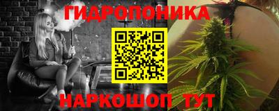 прущие крисы Камышлов