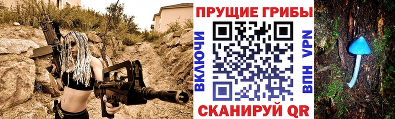 Псилоцибиновые грибы прущие грибы  мега как войти  Коркино 
