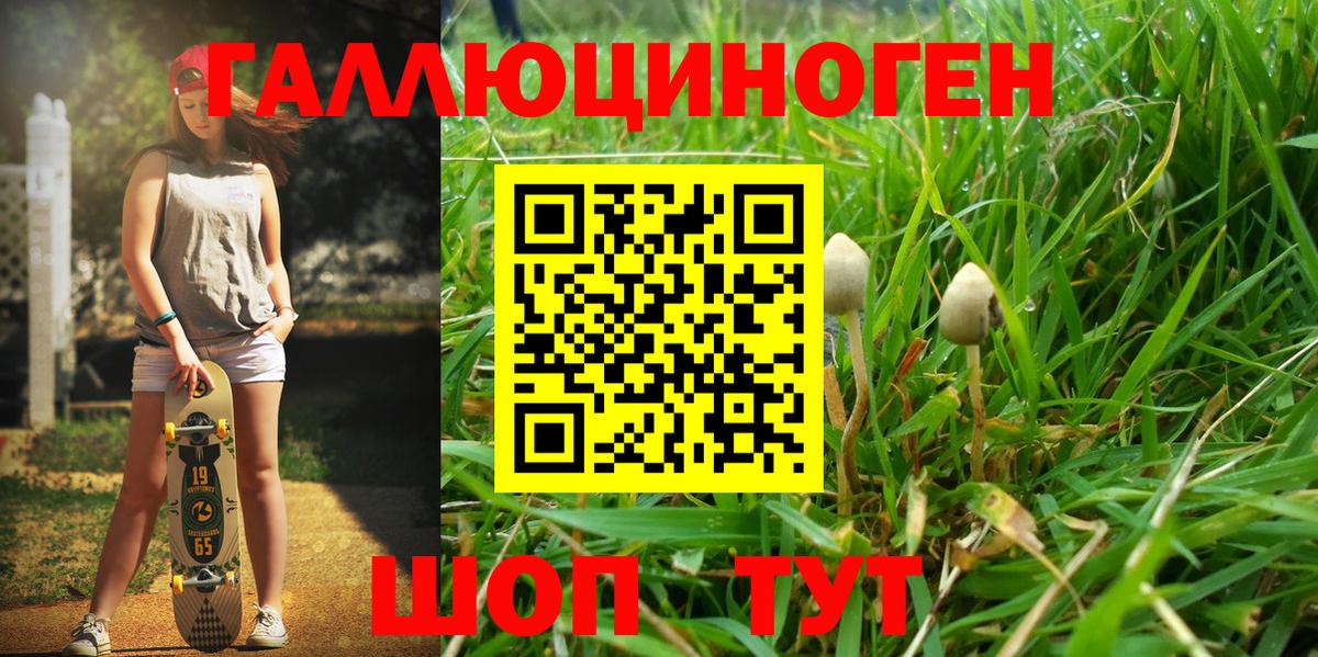 Галлюциногенные грибы ЛСД Коркино