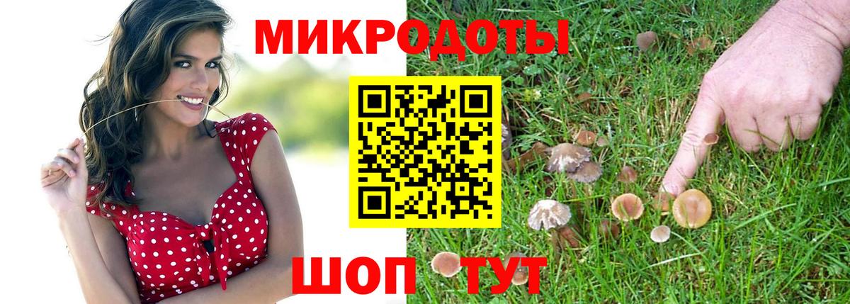 Галлюциногенные грибы прущие грибы  Галлюциногенные грибы мицелий  Коркино 