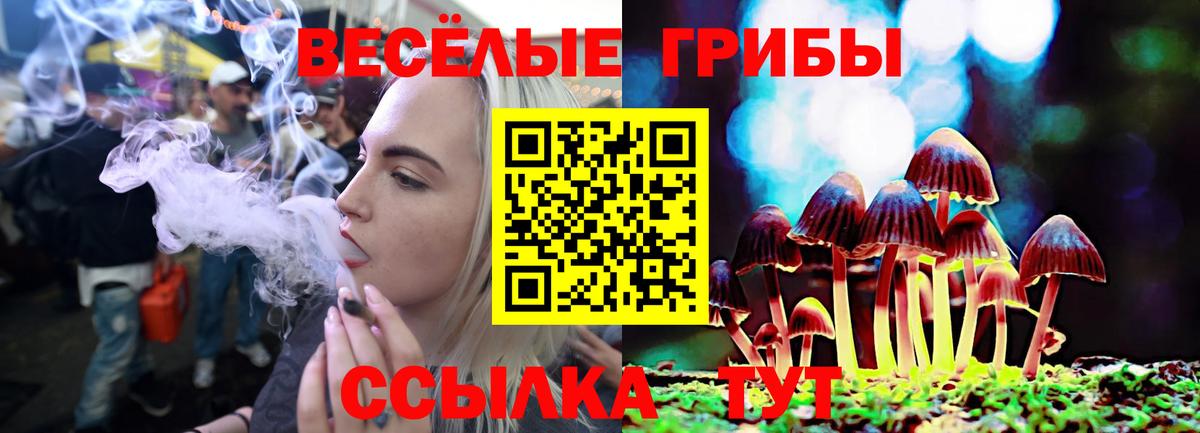 Галлюциногенные грибы Cubensis  Вход с VPN  Галлюциногенные грибы GOLDEN TEACHER  как найти наркотики  Коркино 